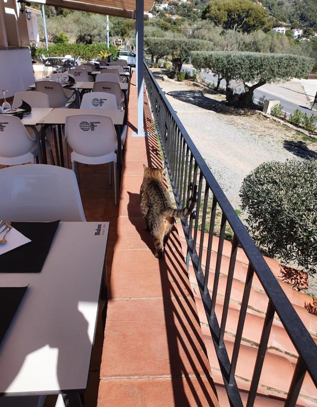 Apartamento Nuevo Ondina Begur Exterior photo